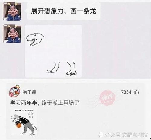 说你网红神回复,幽默风趣，智慧闪耀